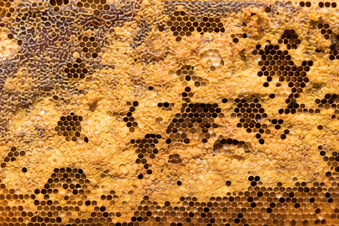 Why choose beeswax candles?